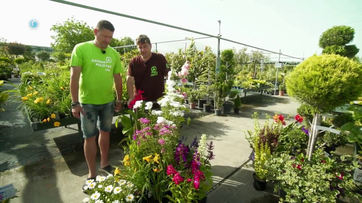 Nova zahrada - rozkvitnuta zahrada